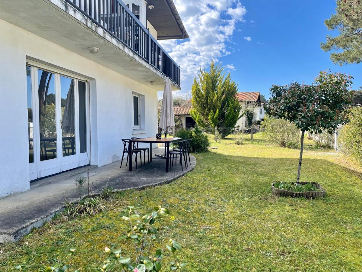 Appartement L'ocenoa2